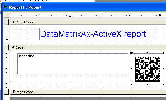 DataMatrix Barcode ActiveX Access report
