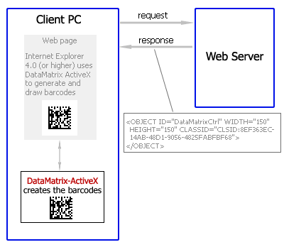 Create the DataMatrix barcodes in the Internet Explorer