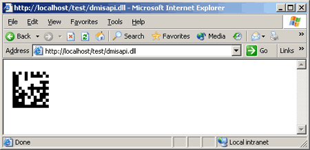 Using DataMatrix ISAPI Extension