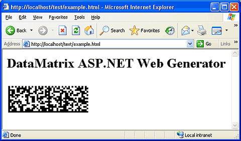 DataMatrix in the Microsoft Internet Explorer. Using HTML.